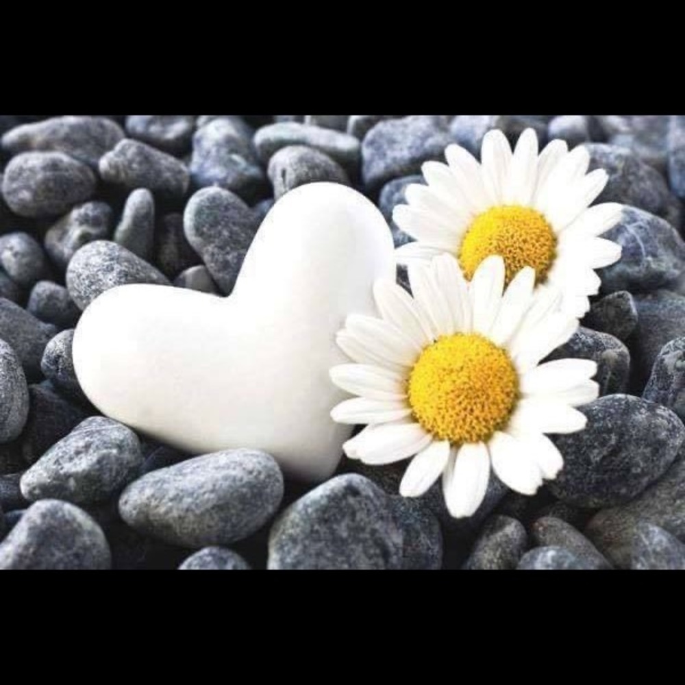 Meet your Posher, Patty